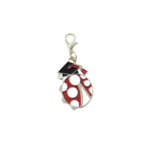 Charm coccinella